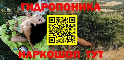 стаф Кимры
