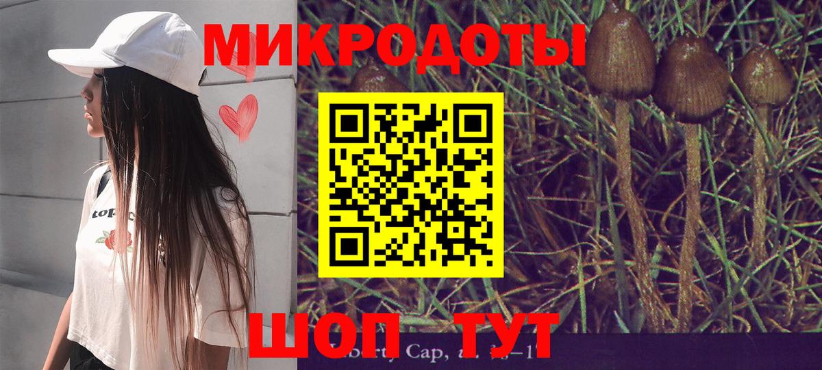 Галлюциногенные грибы прущие грибы Кохма